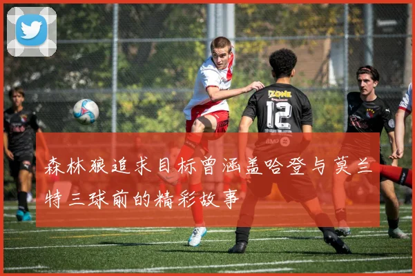森林狼追求目标曾涵盖哈登与莫兰特三球前的精彩故事