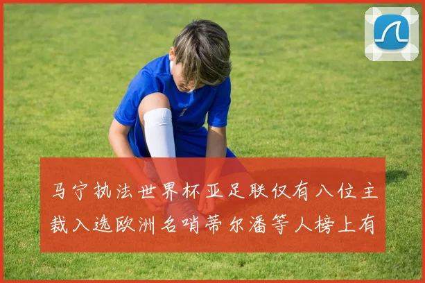 马宁执法世界杯亚足联仅有八位主裁入选欧洲名哨蒂尔潘等人榜上有名